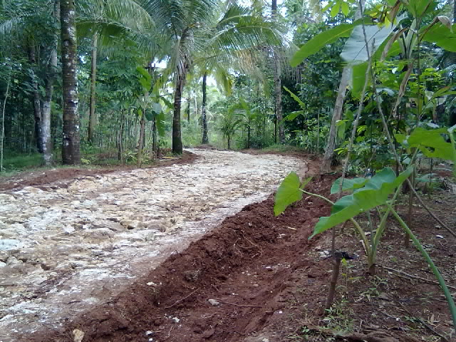 Ciawi Cekdam 2